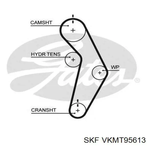 ГРМ ремінь SKF VKMT95613