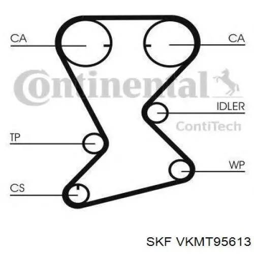 VKMT95613 SKF Ремінь двигуна