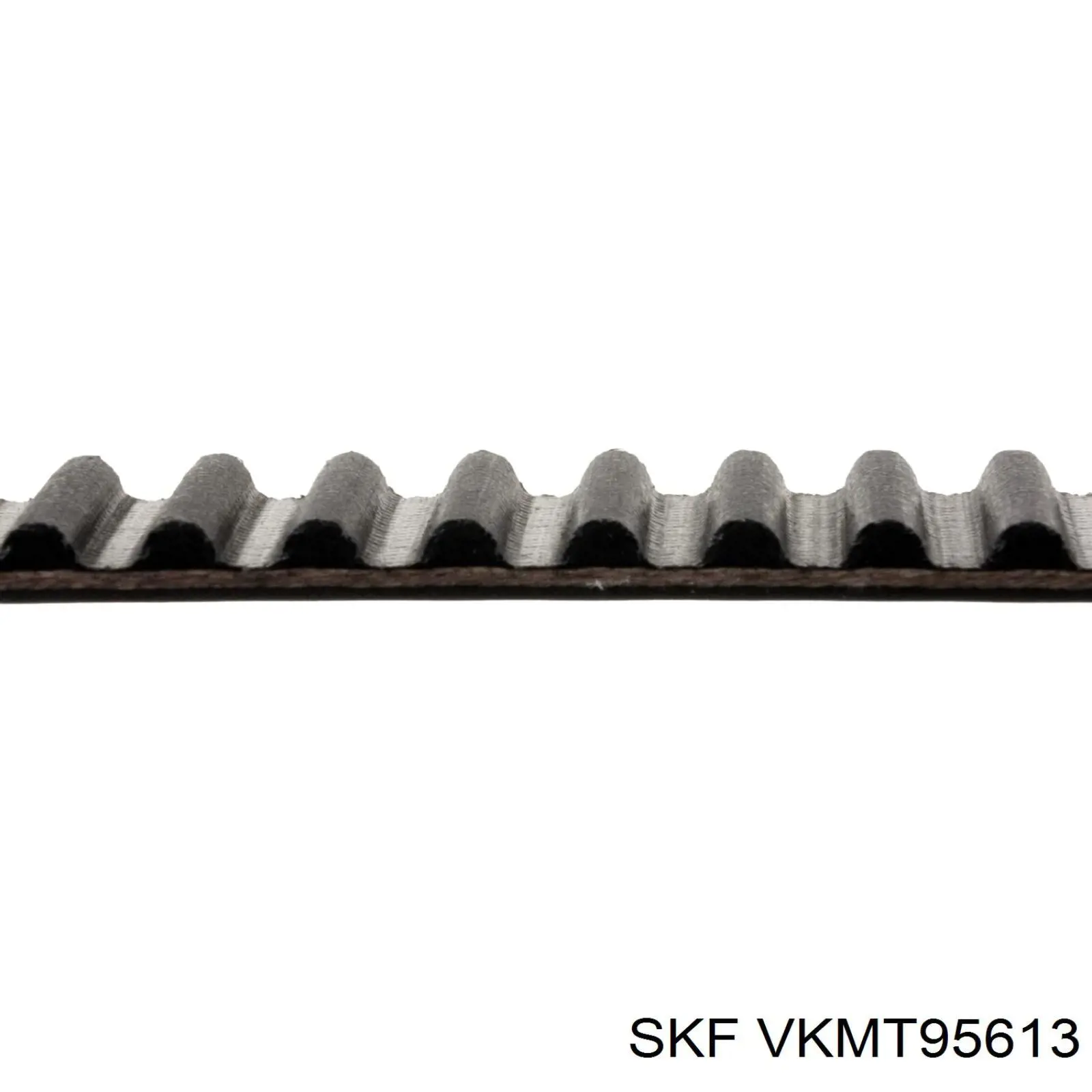 VKMT95613 SKF Ремінь двигуна