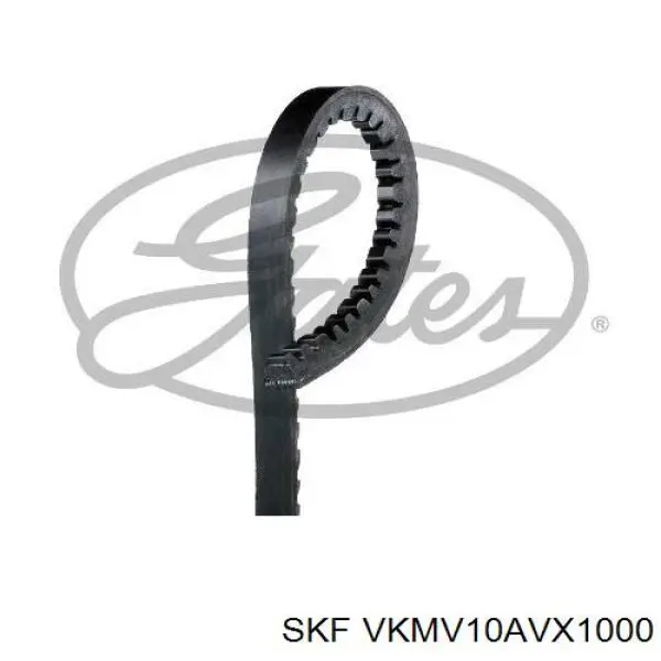 VKMV10AVX1000 SKF Поліклиновий ремінь