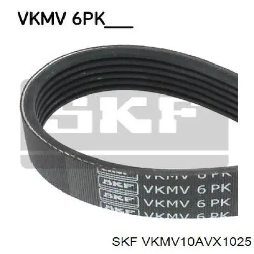 VKMV10AVX1025 SKF ремінь приводний, агрегатів