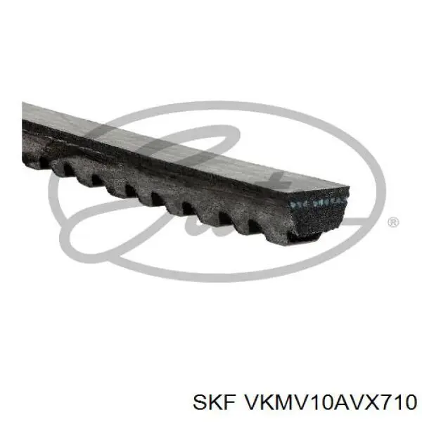 VKMV10AVX710 SKF ремінь приводний, агрегатів