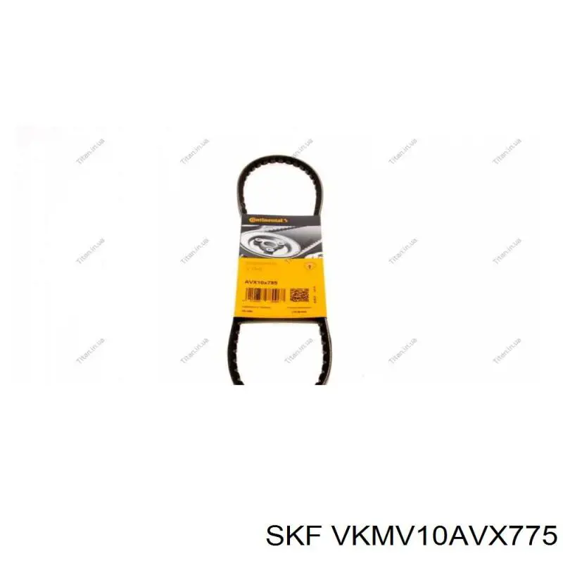 Купити VKMV10AVX775 SKF Ремінь генератора