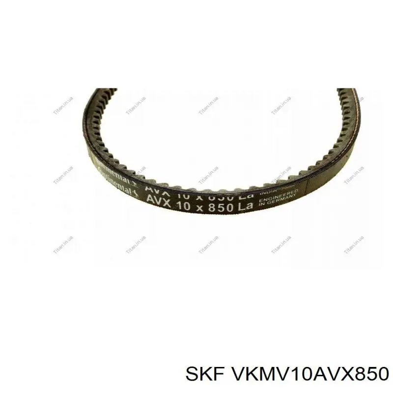 VKMV10AVX850 SKF Поліклиновий ремінь