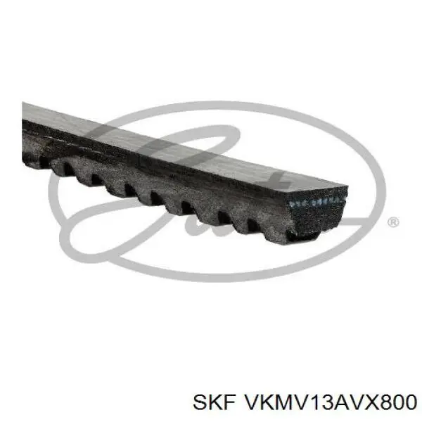 VKMV13AVX800 SKF ремінь приводний, агрегатів