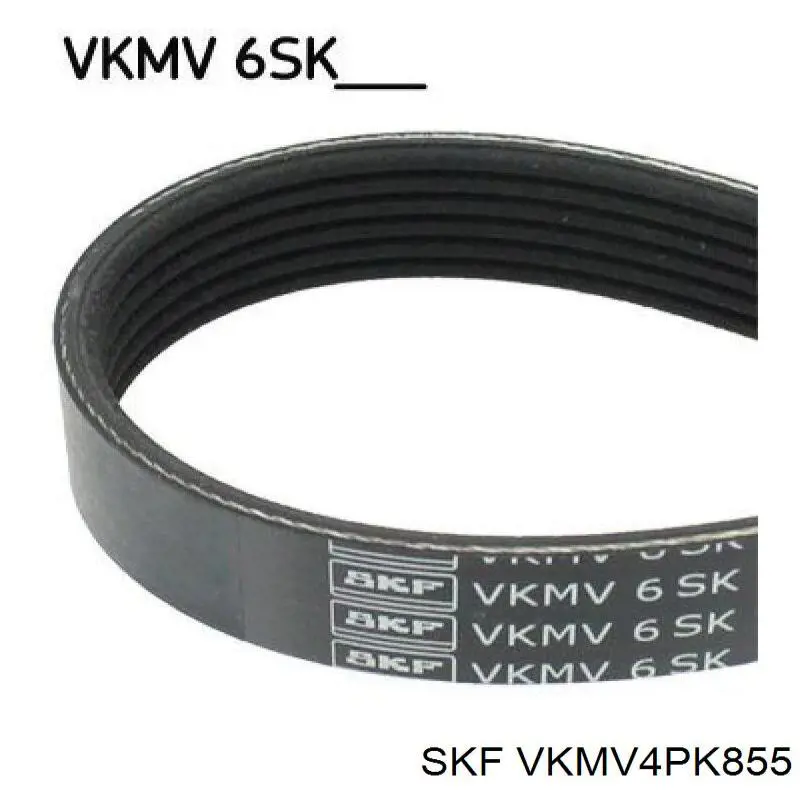 Клиновий ремінь SKF VKMV4PK855 ціна, від 7.17 USD