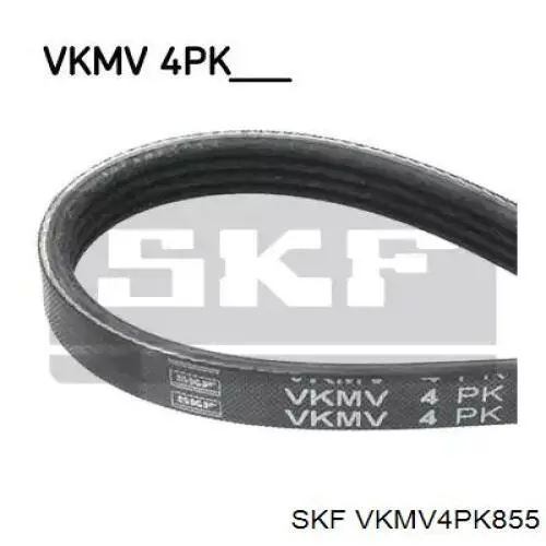 VKMV4PK855 SKF ремінь приводний, агрегатів