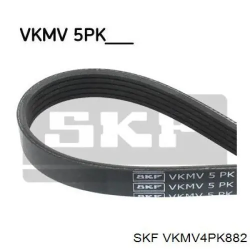 Купити VKMV4PK882 SKF Ремінь генератора