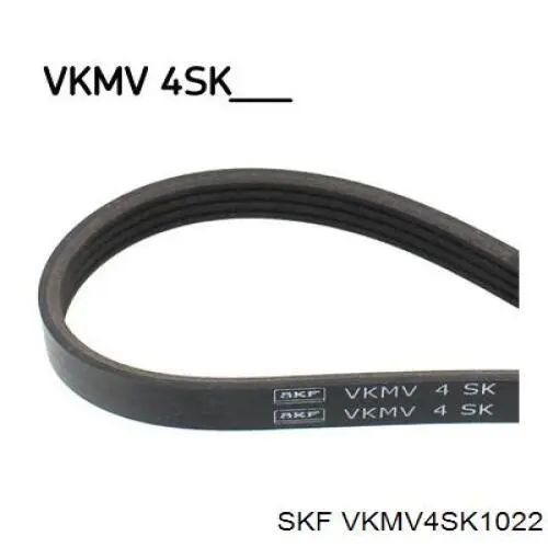 VKMV4SK1022 SKF ремінь приводний, агрегатів