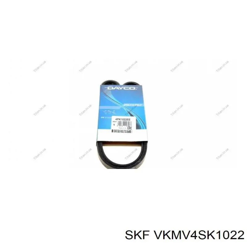 Купити VKMV4SK1022 SKF Ремінь генератора