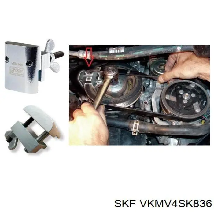 VKMV4SK836 SKF ремінь приводний, агрегатів