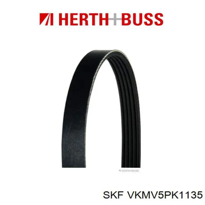 Купити VKMV5PK1135 SKF Ремінь генератора