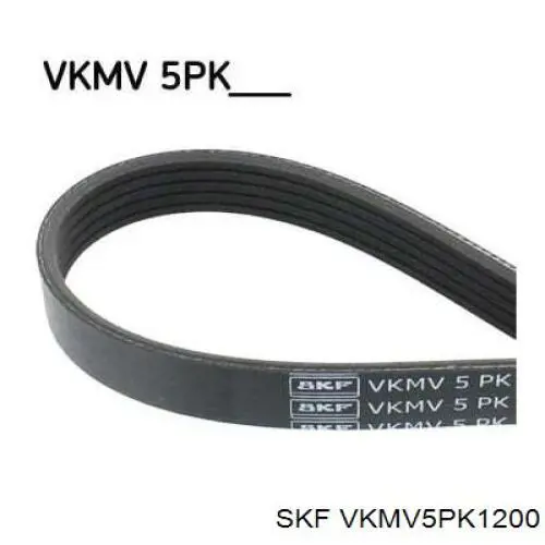 VKMV5PK1200 SKF ремінь приводний, агрегатів