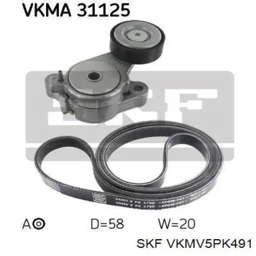 VKMV5PK491 SKF Поліклиновий ремінь