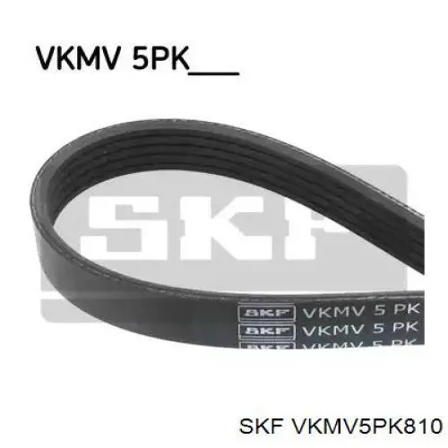 Ремінь приводний, агрегатів VKMV5PK810 SKF