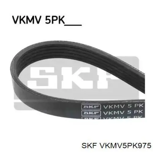 VKMV5PK975 SKF ремінь приводний, агрегатів