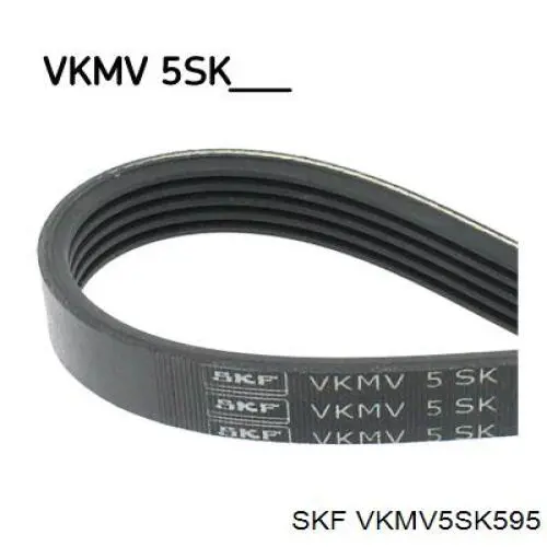 VKMV5SK595 SKF Поліклиновий ремінь