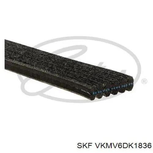 Ремінь приводний, агрегатів VKMV6DK1836 SKF