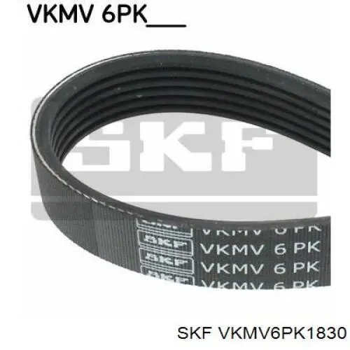 VKMV6PK1830 SKF ремінь приводний, агрегатів