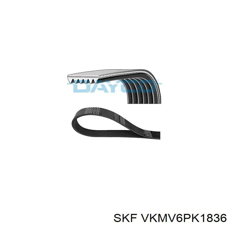  VKMV6PK1836 SKF