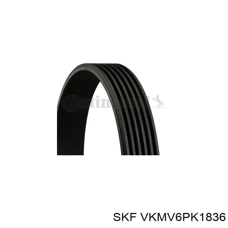 Клиновий ремінь SKF VKMV6PK1836 ціна, від 13.88 USD