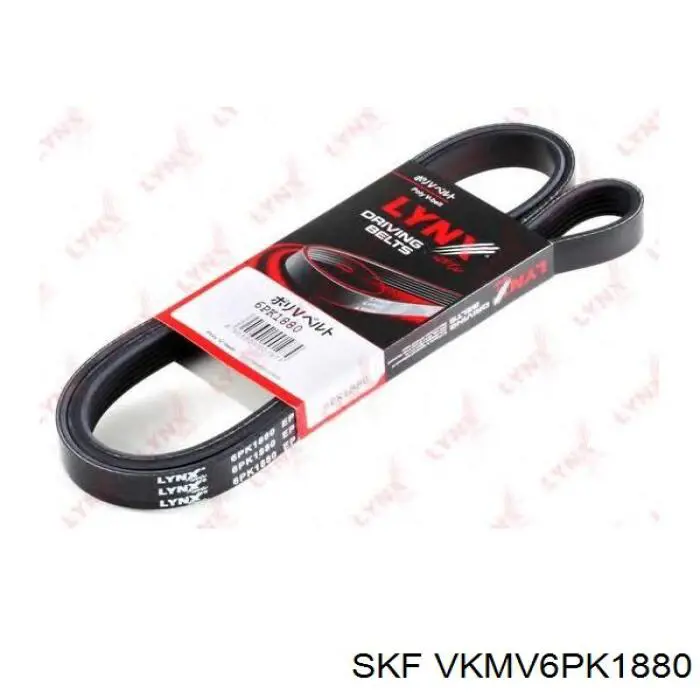 Купити VKMV6PK1880 SKF Ремінь генератора