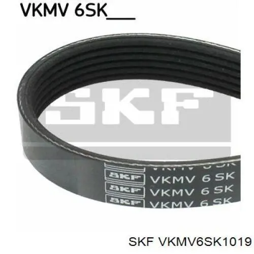 Купити VKMV6SK1019 SKF Ремінь генератора