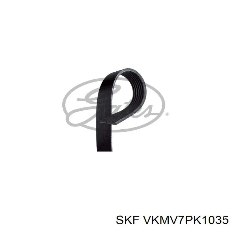 Клиновий ремінь SKF VKMV7PK1035 ціна, від 10.25 USD