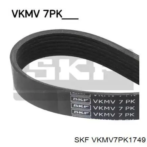 Купити VKMV7PK1749 SKF Ремінь генератора
