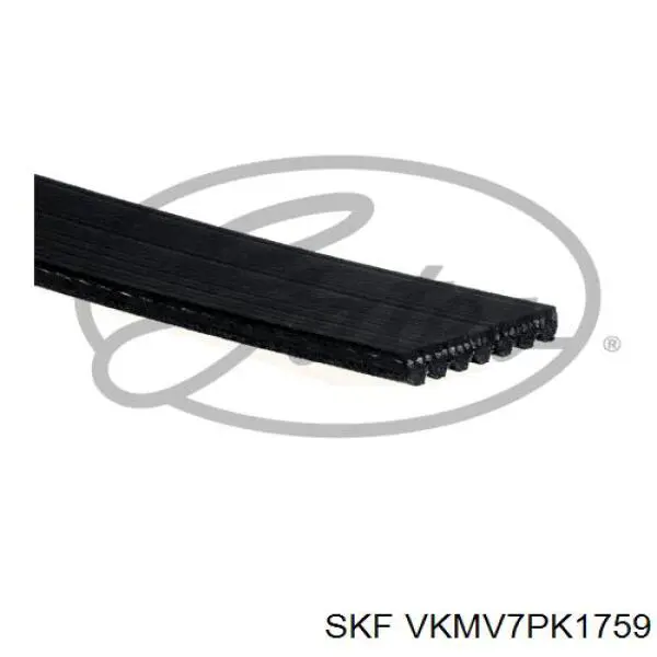 Клиновий ремінь SKF VKMV7PK1759 ціна, від 16.10 USD