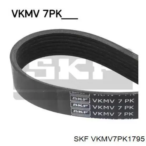 Клиновий ремінь SKF VKMV7PK1795 ціна, від 14.06 USD