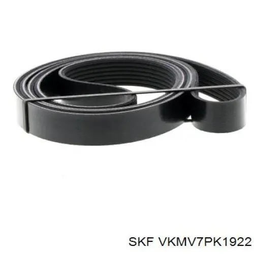 Клиновий ремінь SKF VKMV7PK1922 ціна, від 18.94 USD