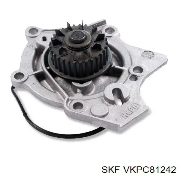 Купити VKPC81242 SKF Насос охолоджуючої рідини