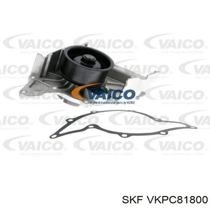 Помпа охолодження SKF VKPC81800 ціна, від 40.05 USD