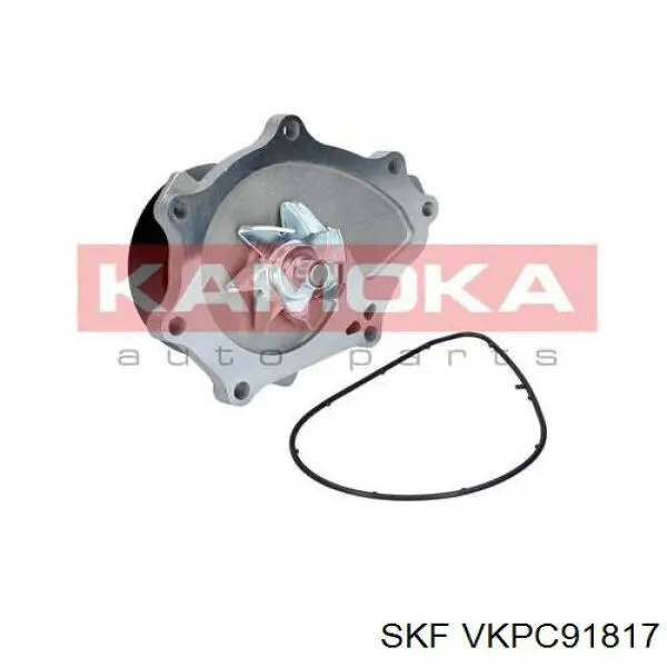 Помпа охолодження SKF VKPC91817 ціна, від 60.73 USD
