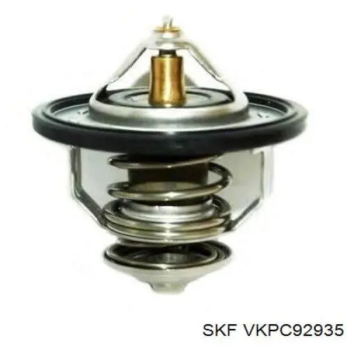 Водяний насос SKF VKPC92935
