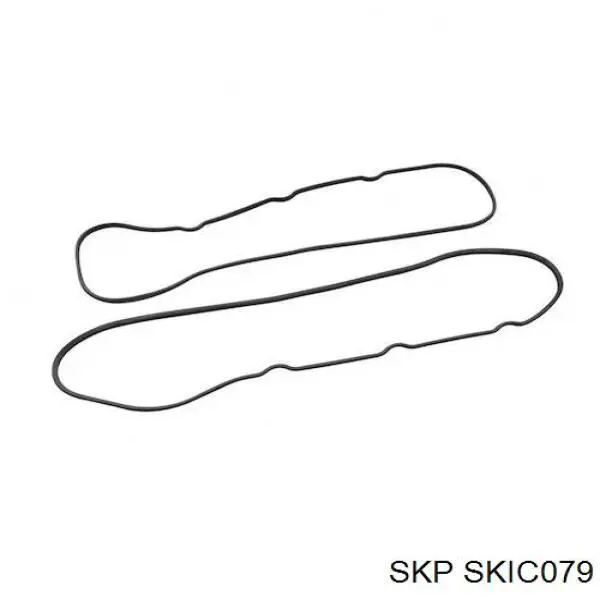 Купити SKIC079 SKP Котушка запалювання