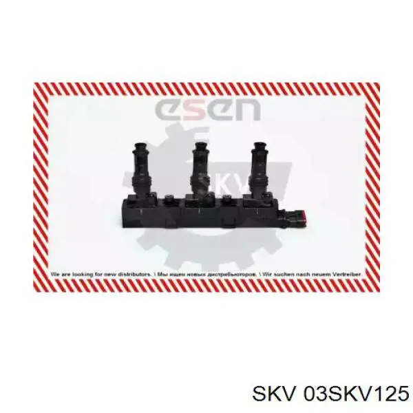 Котушка запалювання 03SKV125 SKV