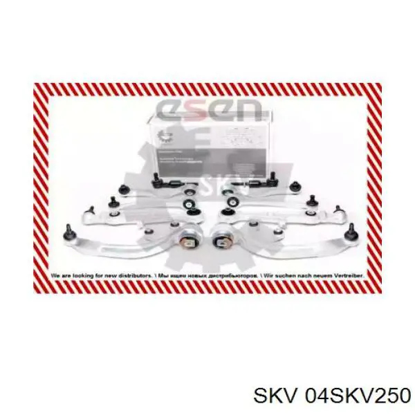 Комплект важелів передньої підвіски 04SKV250 SKV