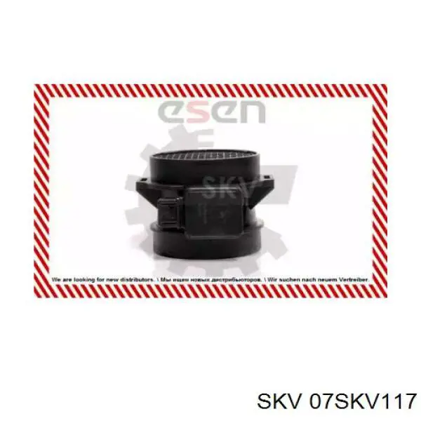 07SKV117 SKV Датчик витрати повітря