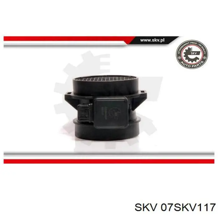 ДМРВ 07SKV117 SKV
