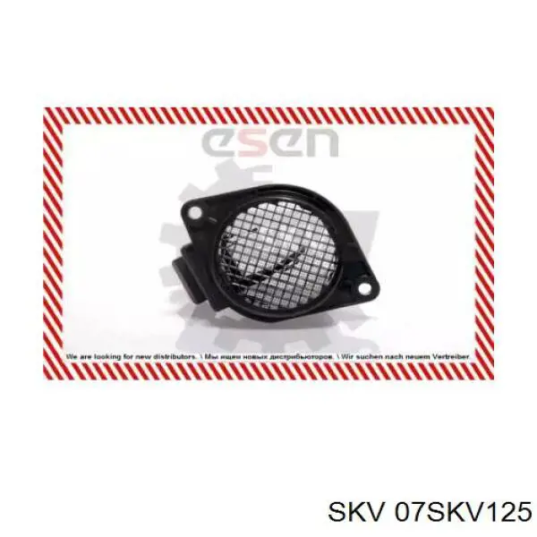Витратомір повітря SKV 07SKV125