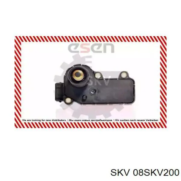 08SKV200 SKV Управління привідкривателем дросельної заслінки