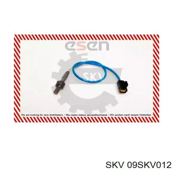  09SKV012 SKV