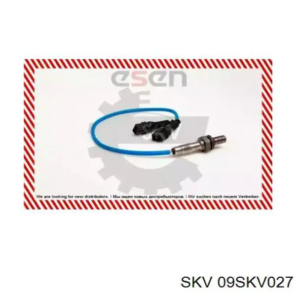  09SKV027 SKV