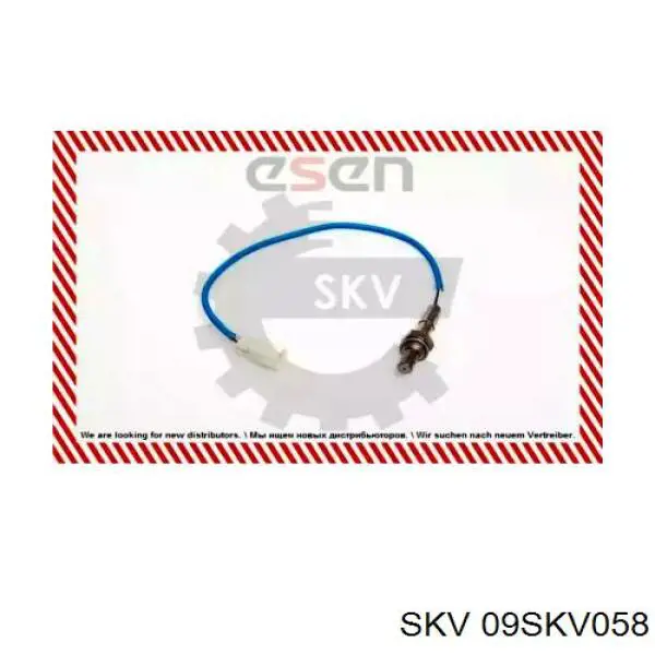 09SKV058 SKV 