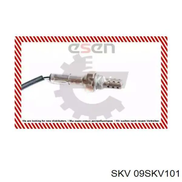 09SKV101 SKV лямбда-зонд, датчик кисню після каталізатора, лівий