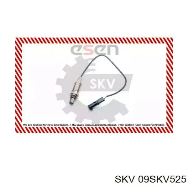 SG12 Standard Датчик кисню