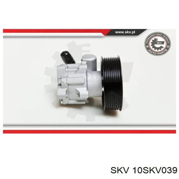 Купити 10SKV039 SKV Насос гідравліки