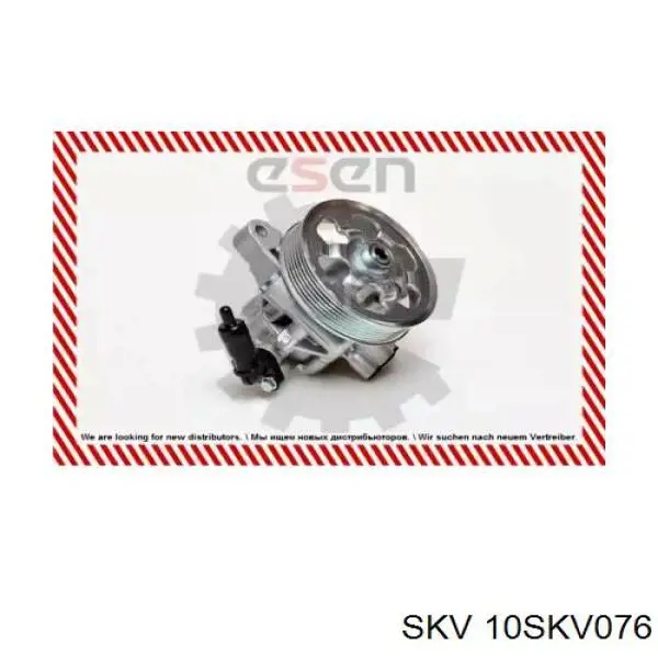 Купити 10SKV076 SKV Насос гідравліки